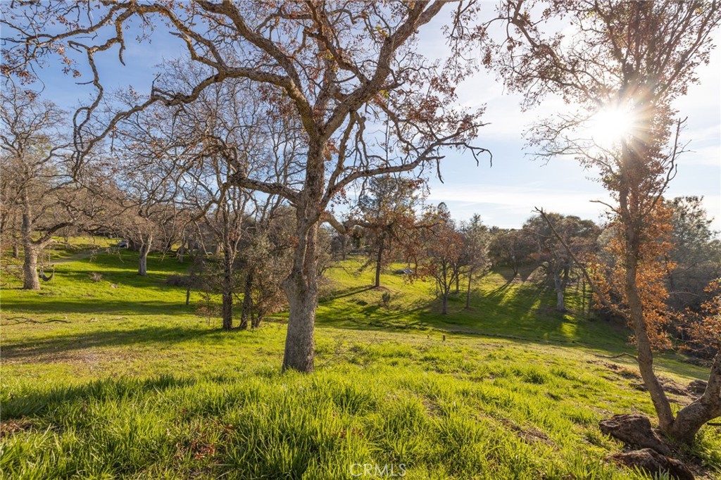 33940 Jennifer Way, Coarsegold, CA 93614