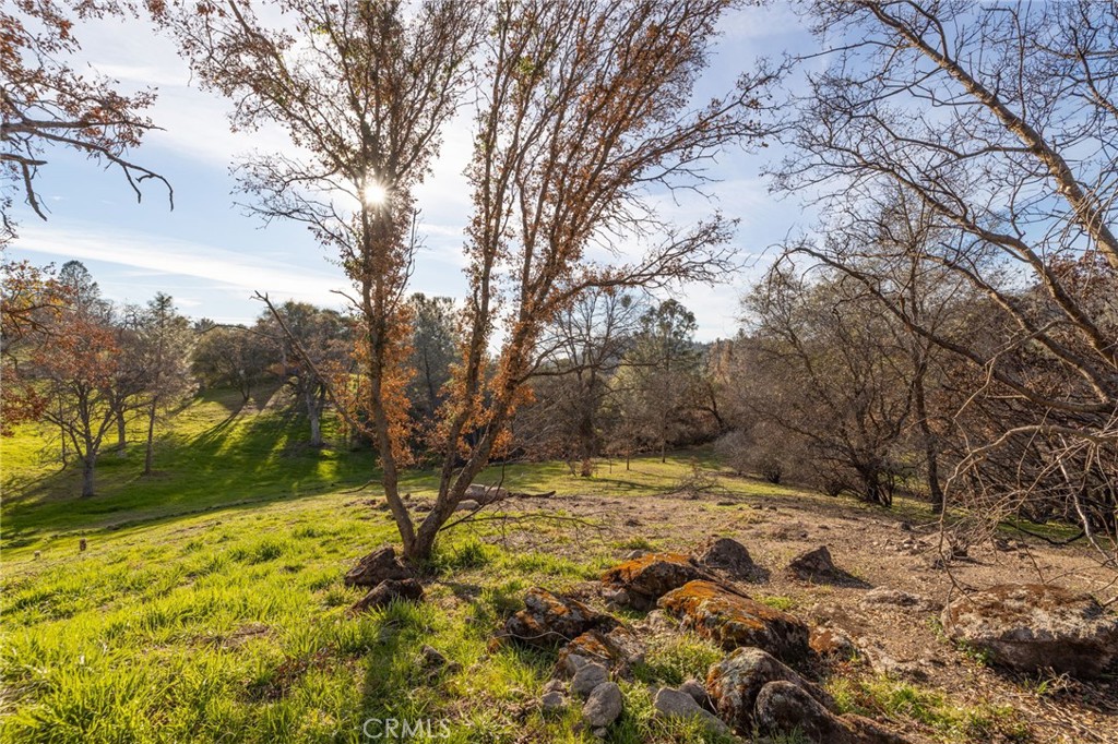 33940 Jennifer Way, Coarsegold, CA 93614