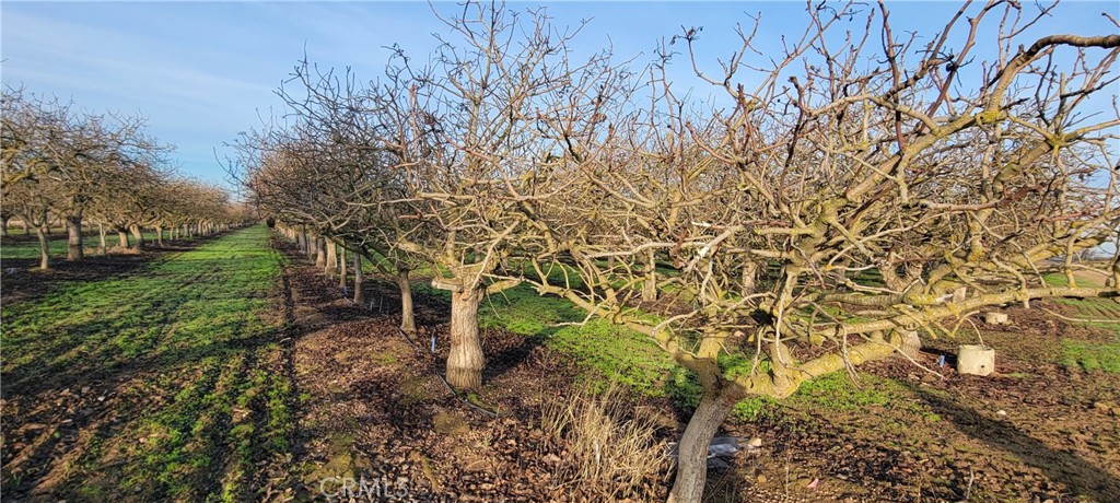 0 Santa Fe, Chowchilla, CA 93610