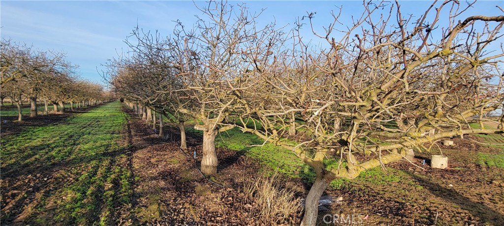 0 Santa Fe, Chowchilla, CA 93610