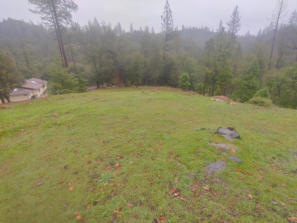 13003 Wells Fargo Dr, Groveland, CA 95321