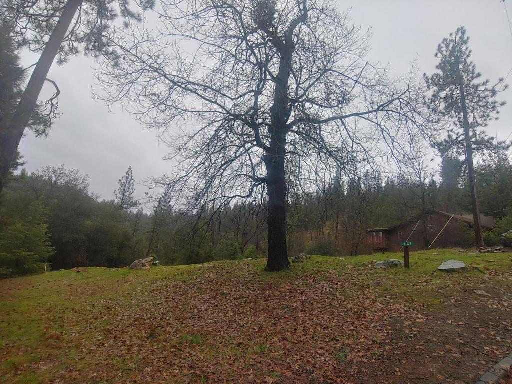 13003 Wells Fargo Dr, Groveland, CA 95321