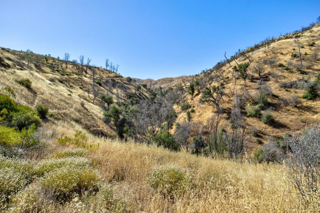 14600 Del Puerto Canyon Rd, Newman, CA 95360