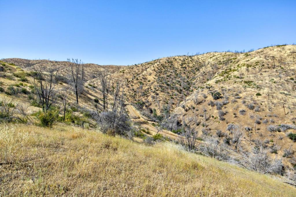 14600 Del Puerto Canyon Rd, Newman, CA 95360