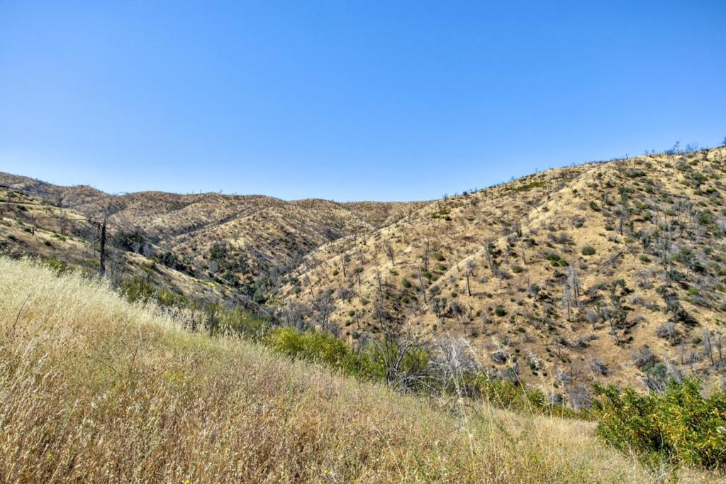 14600 Del Puerto Canyon Rd, Newman, CA 95360