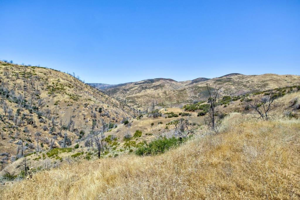 14600 Del Puerto Canyon Rd, Newman, CA 95360