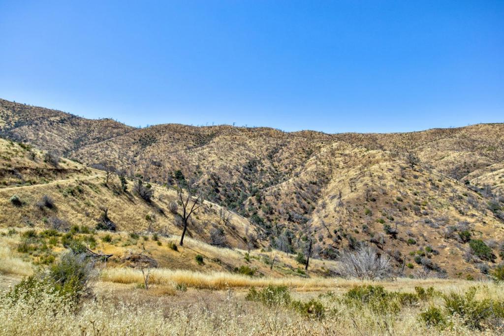 14600 Del Puerto Canyon Rd, Newman, CA 95360