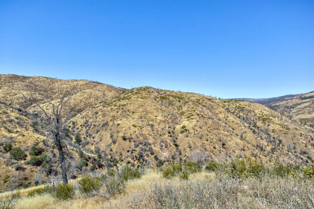 14600 Del Puerto Canyon Rd, Newman, CA 95360