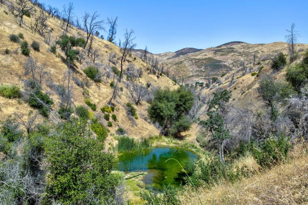 14600 Del Puerto Canyon Rd, Newman, CA 95360