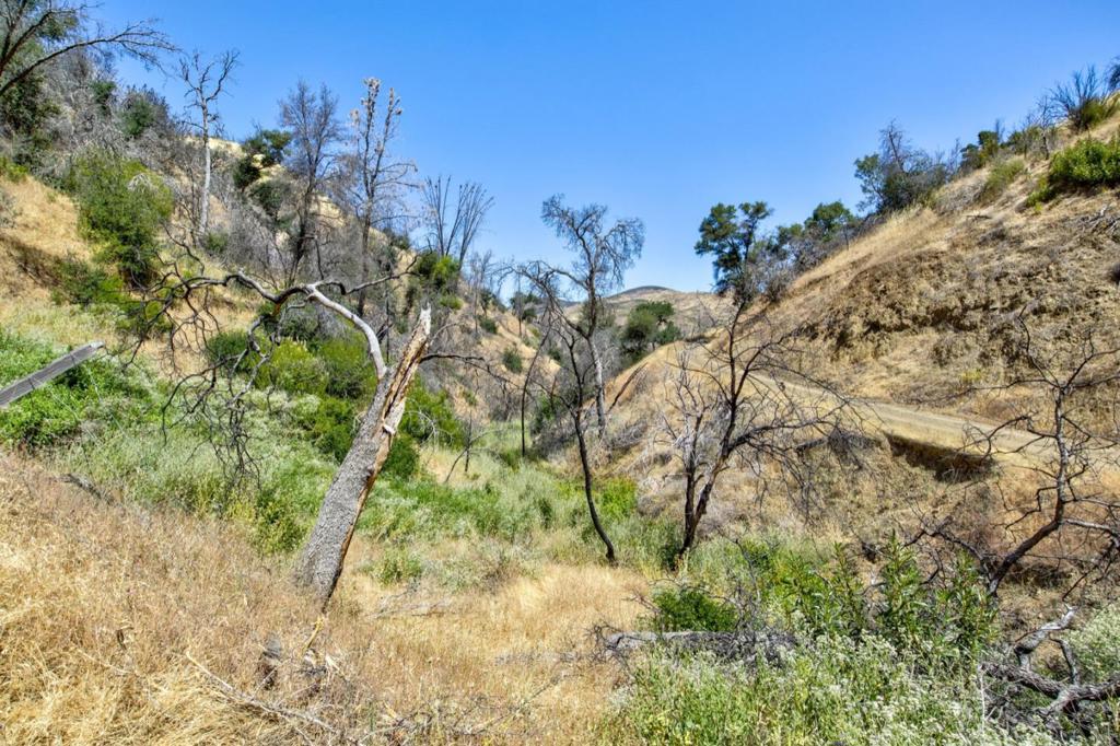 14600 Del Puerto Canyon Rd, Newman, CA 95360