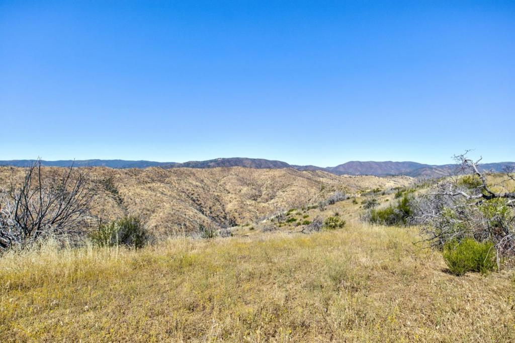 14600 Del Puerto Canyon Rd, Newman, CA 95360