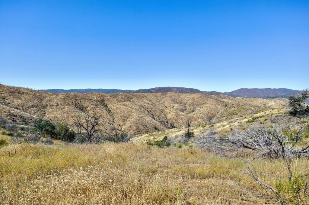 14600 Del Puerto Canyon Rd, Newman, CA 95360