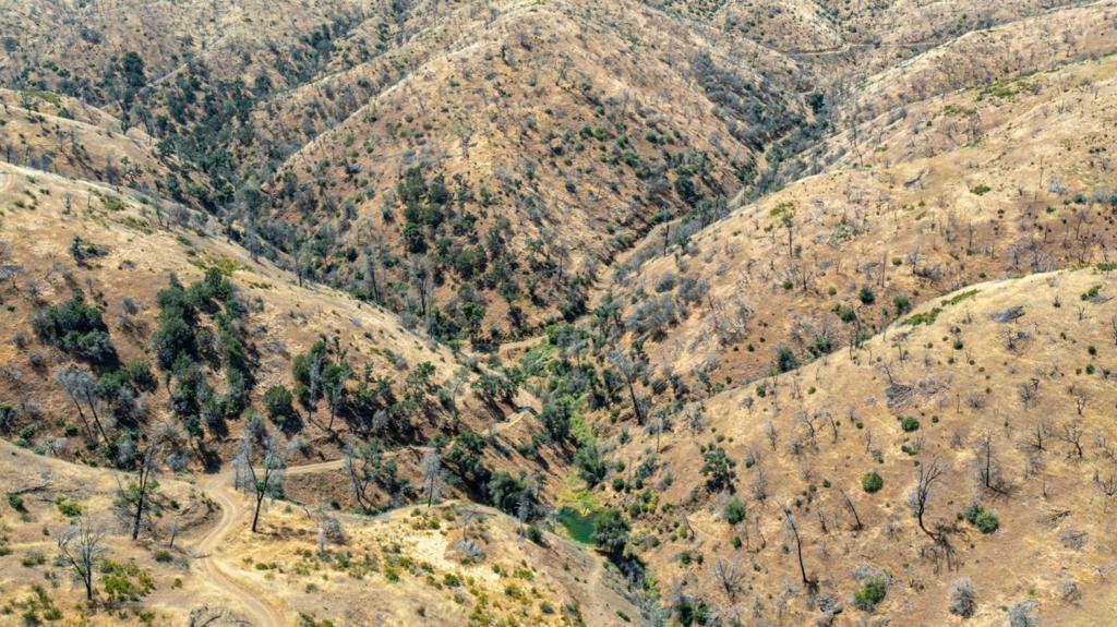 14600 Del Puerto Canyon Rd, Newman, CA 95360