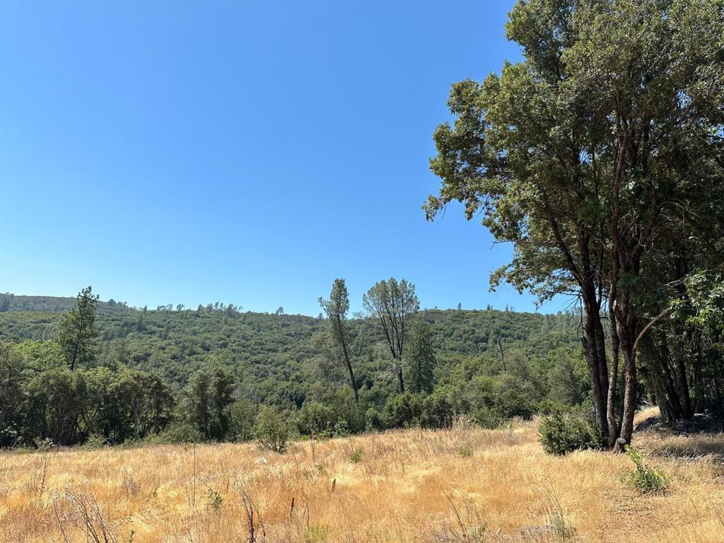 15 Italian Bar Rd, Twain Harte, CA 95383