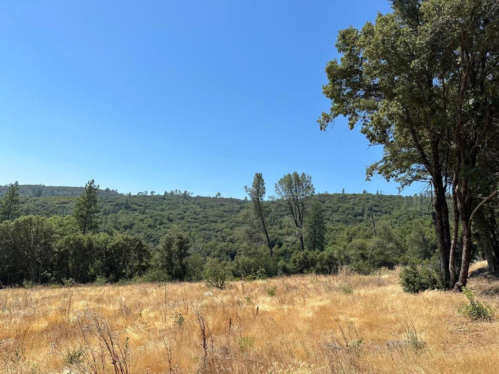 15 Italian Bar Rd, Twain Harte, CA 95383