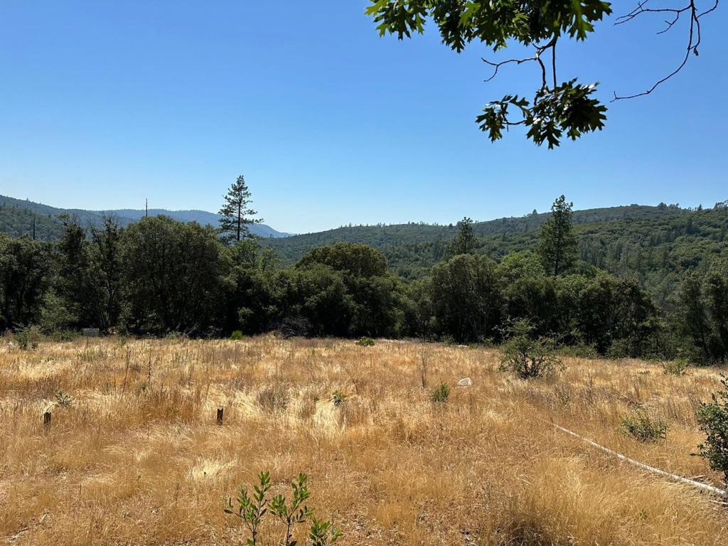 15 Italian Bar Rd, Twain Harte, CA 95383