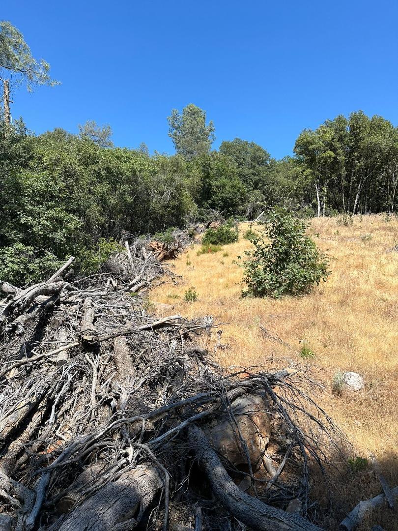 15 Italian Bar Rd, Twain Harte, CA 95383