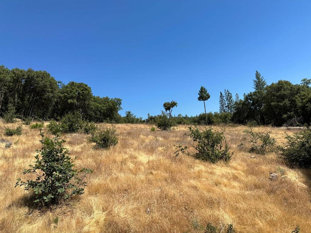 15 Italian Bar Rd, Twain Harte, CA 95383