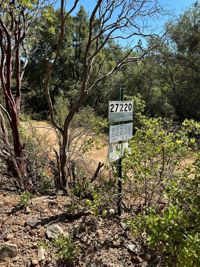 15 Italian Bar Rd, Twain Harte, CA 95383