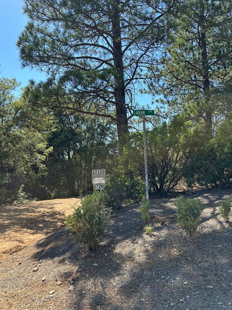 15 Italian Bar Rd, Twain Harte, CA 95383