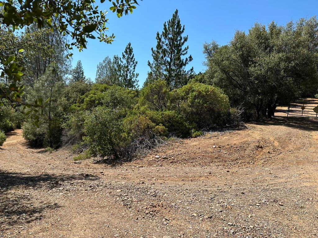 15 Italian Bar Rd, Twain Harte, CA 95383