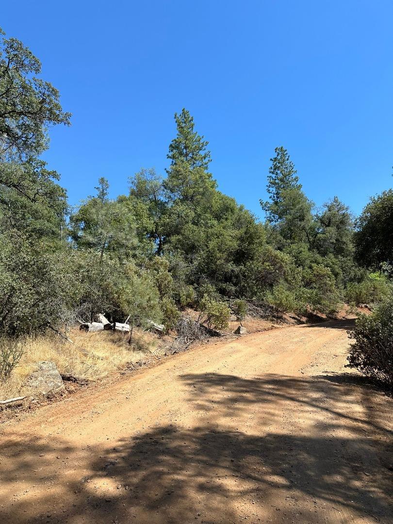 15 Italian Bar Rd, Twain Harte, CA 95383