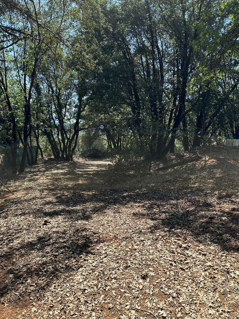 15 Italian Bar Rd, Twain Harte, CA 95383