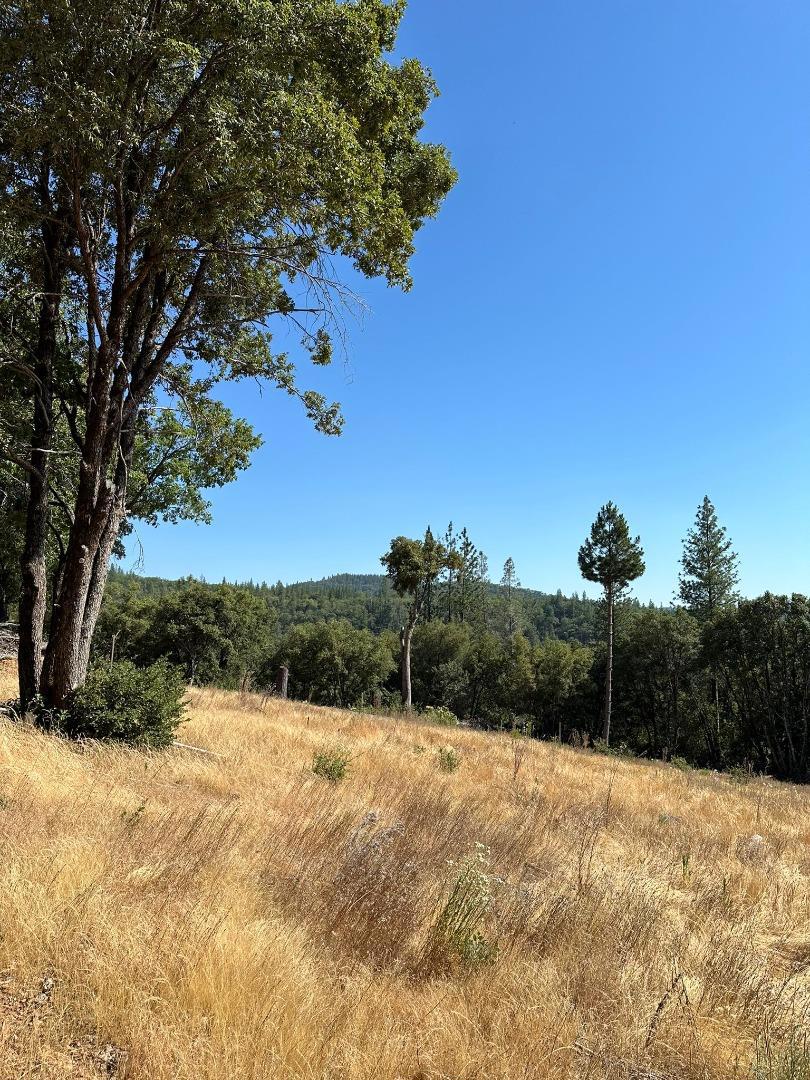 15 Italian Bar Rd, Twain Harte, CA 95383