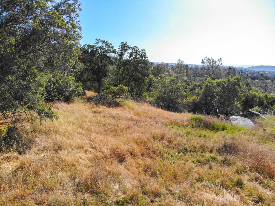 0 Long Hollow Dr, Coarsegold, CA 93614