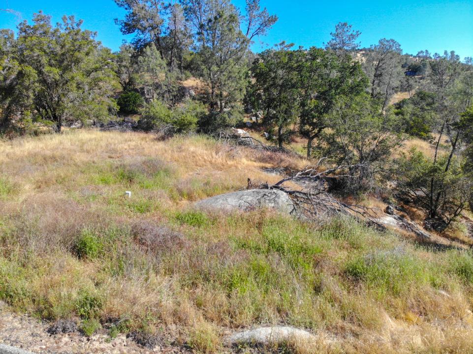 0 Long Hollow Dr, Coarsegold, CA 93614