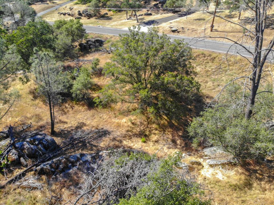 0 Long Hollow Dr, Coarsegold, CA 93614