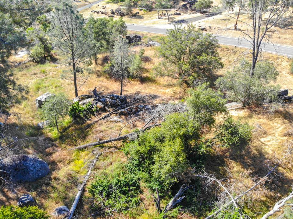 0 Long Hollow Dr, Coarsegold, CA 93614