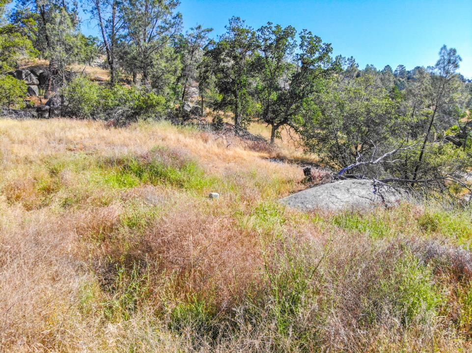 0 Long Hollow Dr, Coarsegold, CA 93614