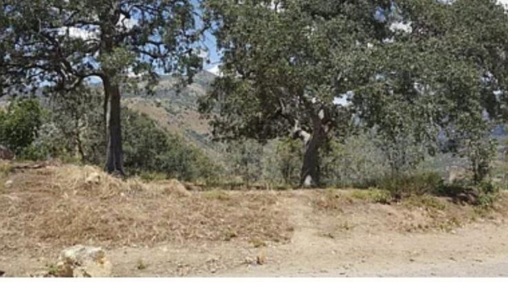 29170 TERESA SPRING Rd, Tollhouse, CA 93667