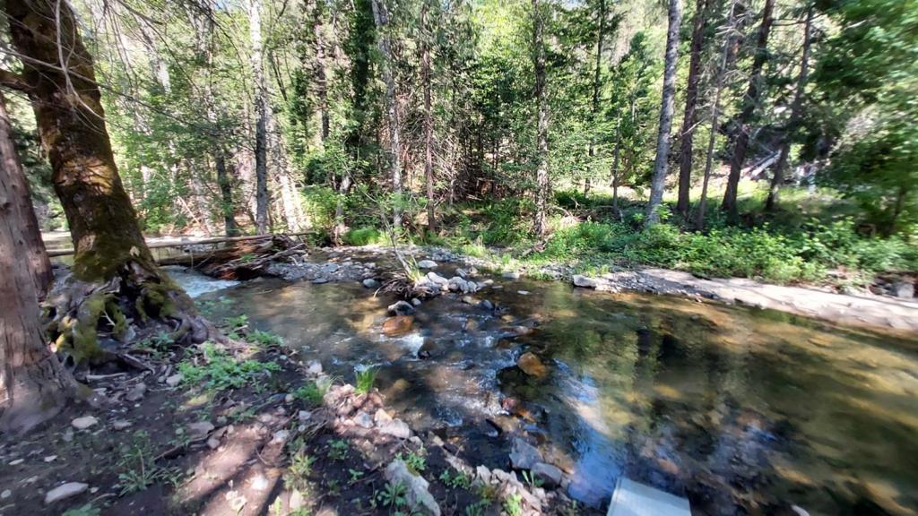 8063 Anderson Valley Rd, Coulterville, CA 95311