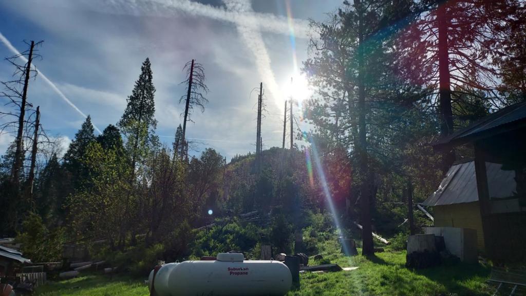 8063 Anderson Valley Rd, Coulterville, CA 95311