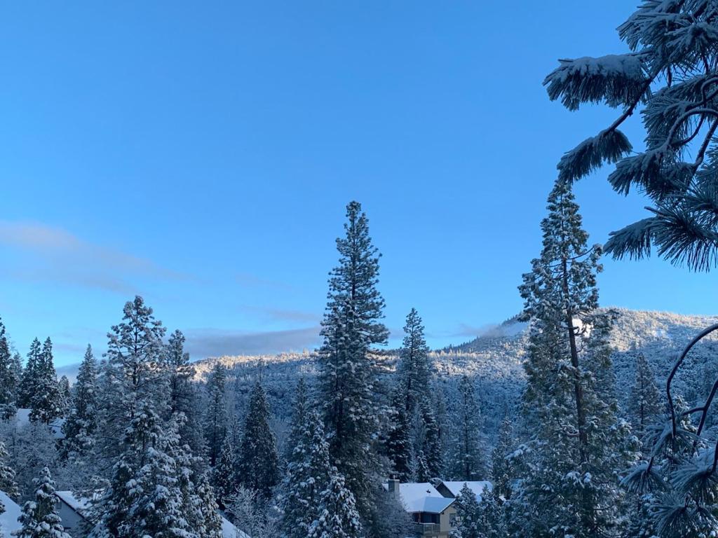 40586 Saddleback Rd, Bass Lake, CA 93604