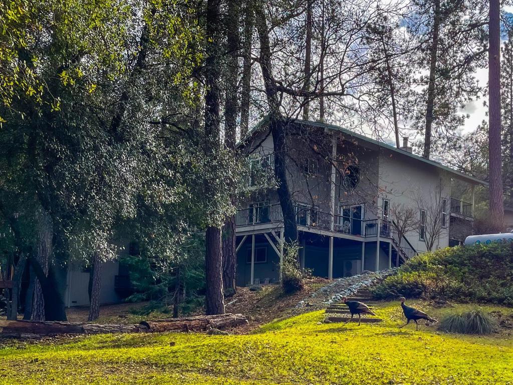 13069 Wells Fargo Dr, Groveland, CA 95321