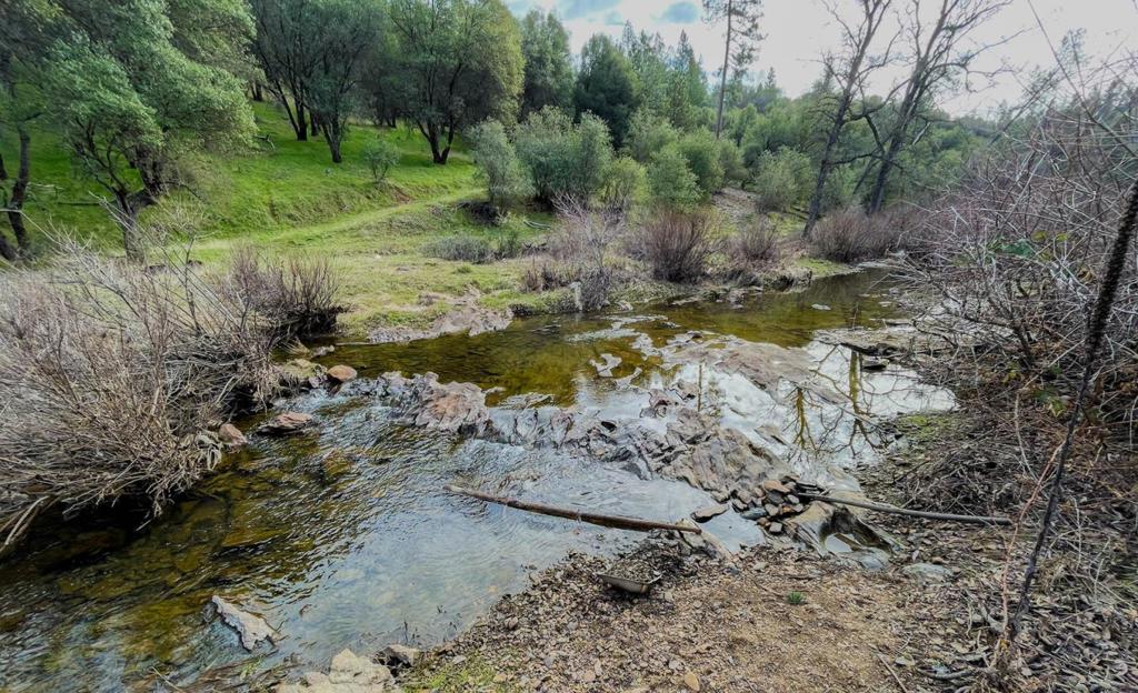 13069 Wells Fargo Dr, Groveland, CA 95321