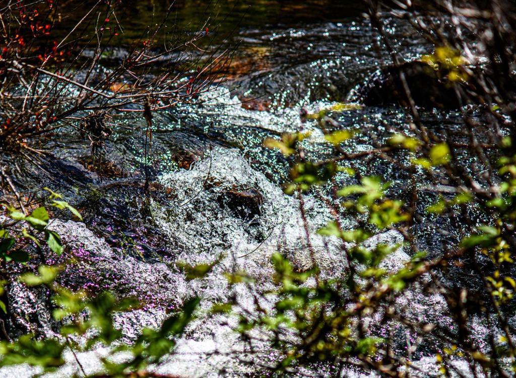 13069 Wells Fargo Dr, Groveland, CA 95321