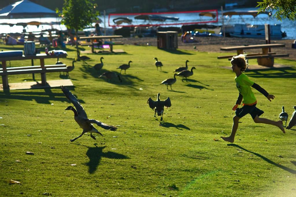 13069 Wells Fargo Dr, Groveland, CA 95321