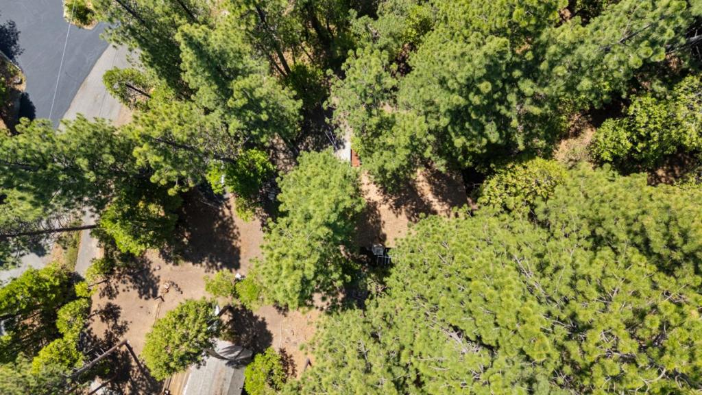 29380 Lassen Drive, Cold Springs, CA 95335