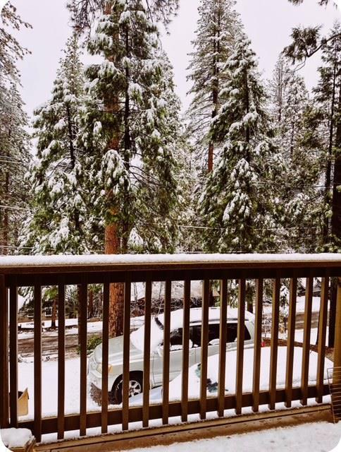 22461 Ponderosa Dr, Twain Harte, CA 95383