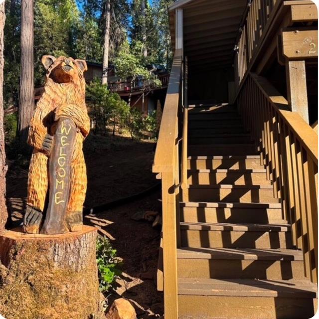 22461 Ponderosa Dr, Twain Harte, CA 95383