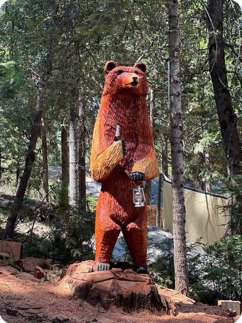 22461 Ponderosa Dr, Twain Harte, CA 95383