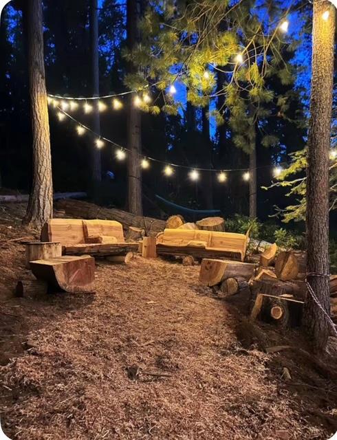 22461 Ponderosa Dr, Twain Harte, CA 95383