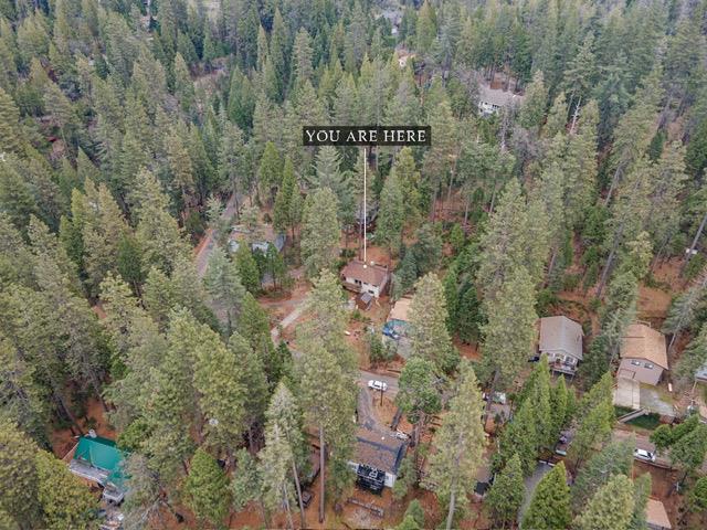 22461 Ponderosa Dr, Twain Harte, CA 95383