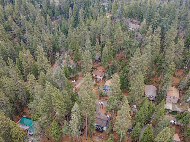 22461 Ponderosa Dr, Twain Harte, CA 95383