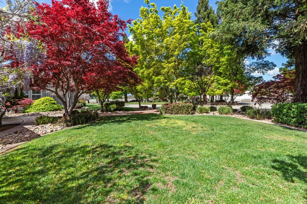 5000 Peach Blossom Ln, Oakdale, CA 95361