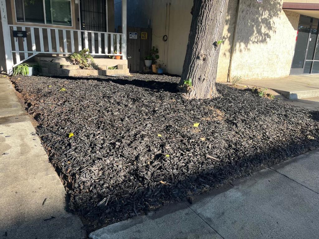 114116 Severin Ave, Modesto, CA 95354